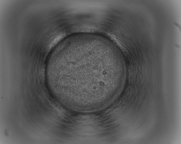 X0000090990679200708241427