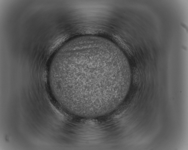 X0000090990683200708241426