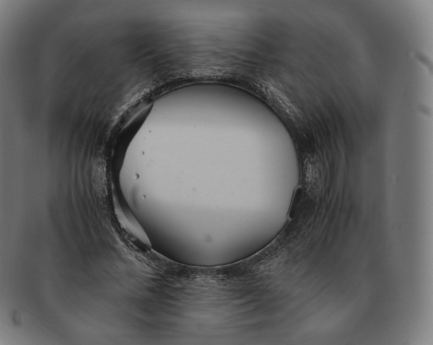 X0000090990684200708241426