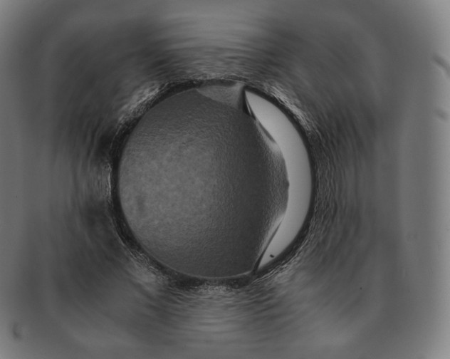 X0000090990685200708241426