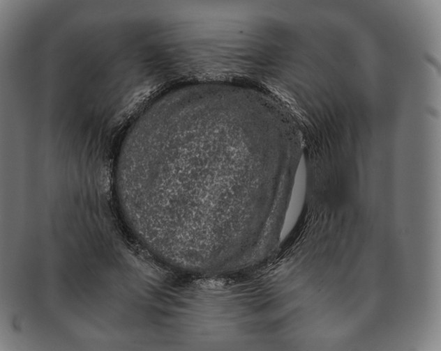 X0000090990687200708241426