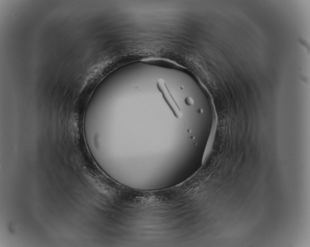 X0000090990688200708241426