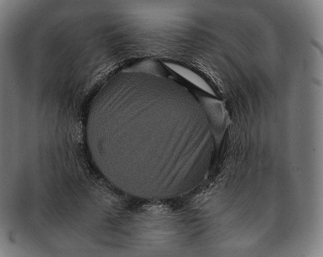 X0000090990689200708241426