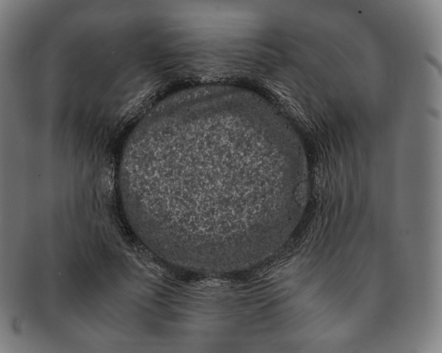 X0000090990691200708241426