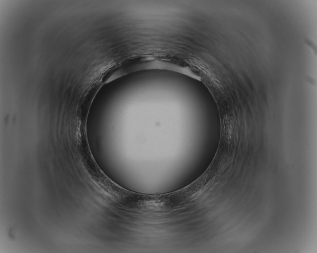 X0000090990692200708241426