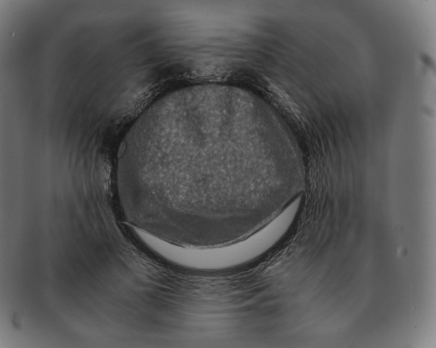 X0000090990693200708241426