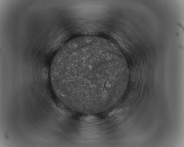 X0000090990695200708241426