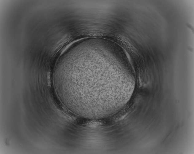 X0000090990696200708241426