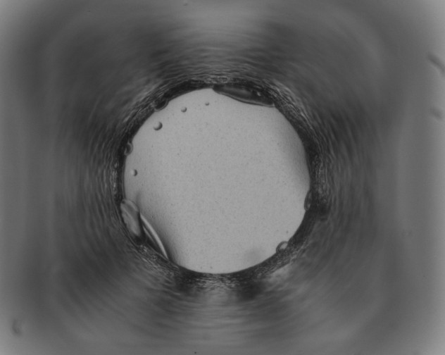 X0000090990697200708241426