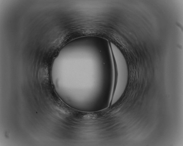 X0000090990700200708241426