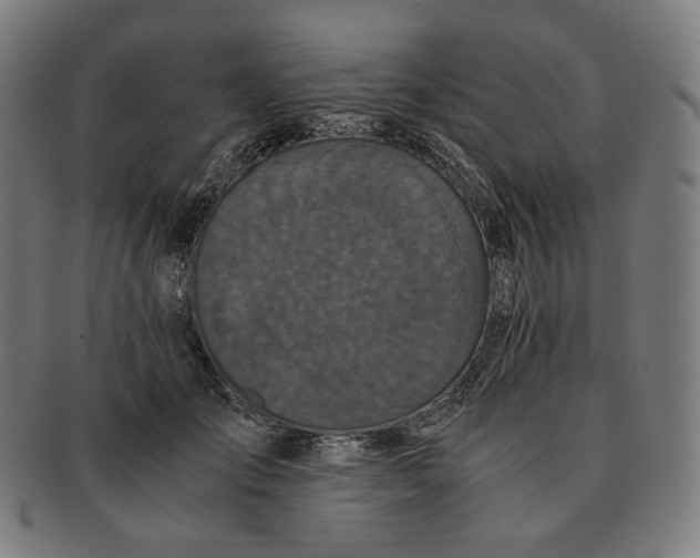 X0000090990701200708241426