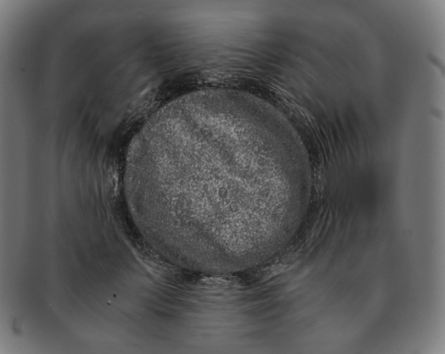 X0000090990703200708241426