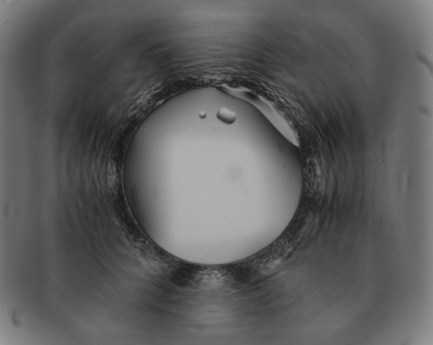 X0000090990704200708241426