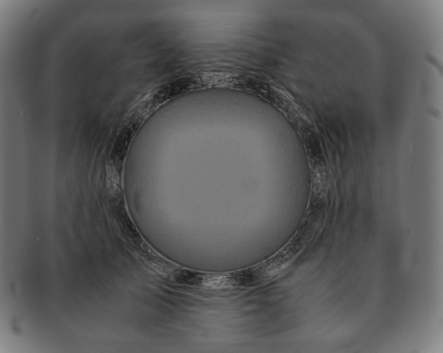 X0000090990705200708241426