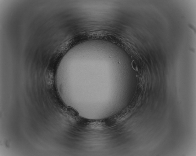 X0000090990708200708241426