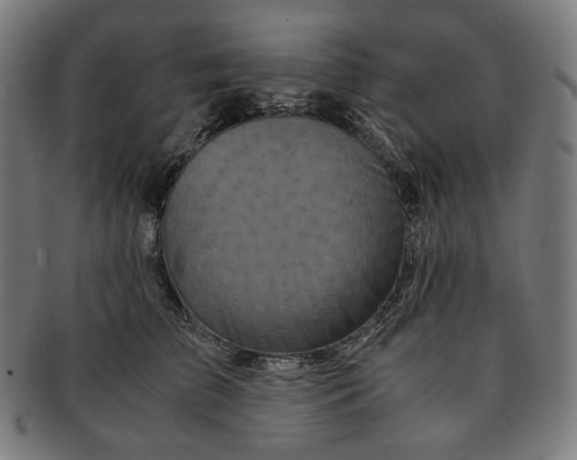 X0000090990709200708241426