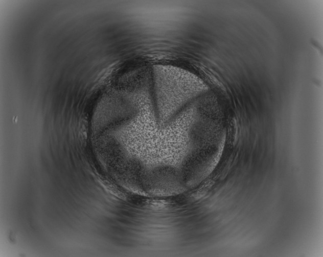 X0000090990710200708241426