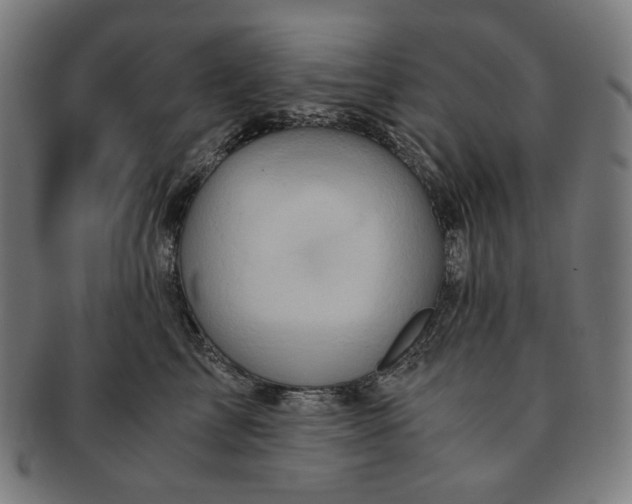 X0000090990713200708241426