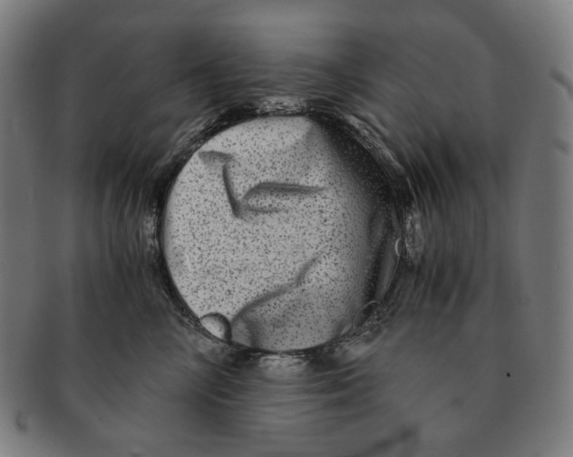 X0000090990714200708241426