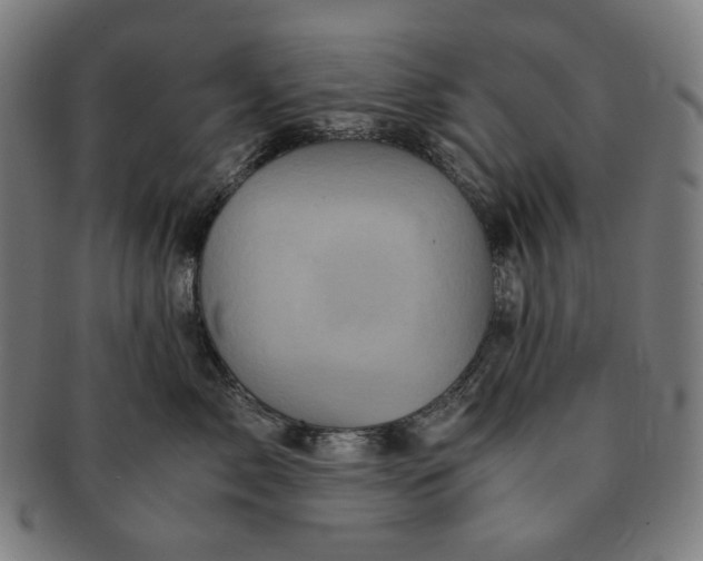 X0000090990717200708241426