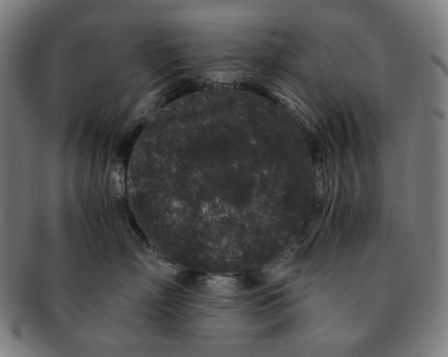 X0000090990718200708241426