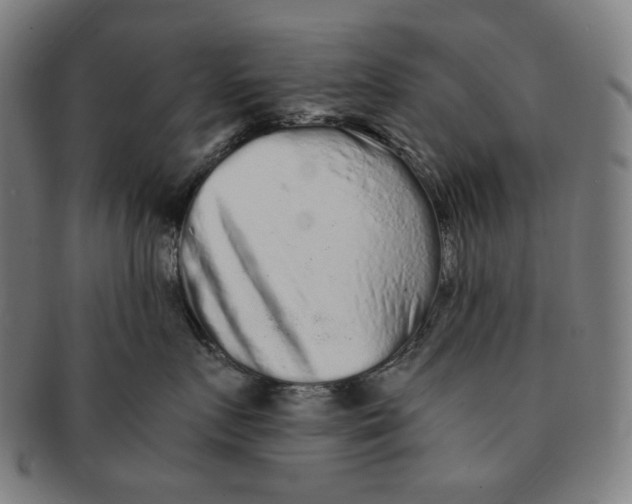 X0000090990719200708241426