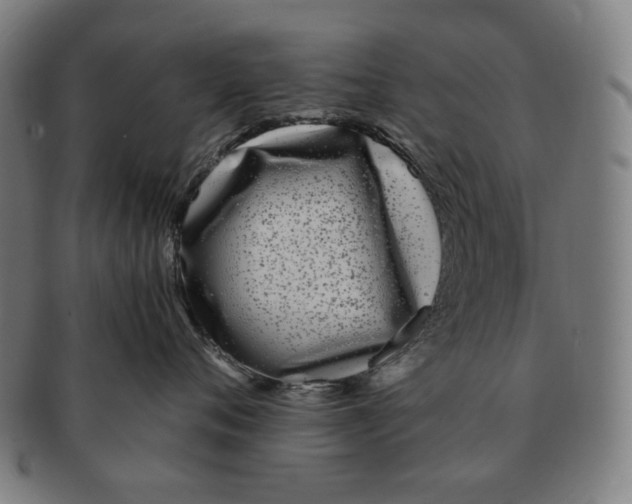 X0000090990720200708241426