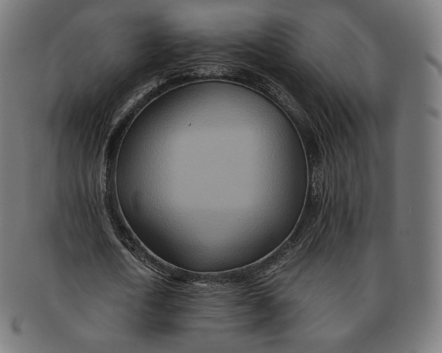 X0000090990722200708241425