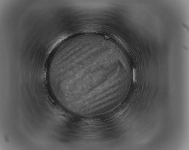 X0000090990723200708241425