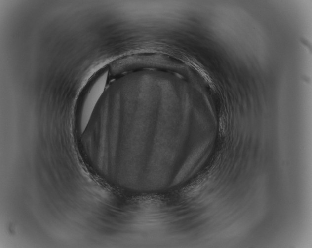 X0000090990724200708241425