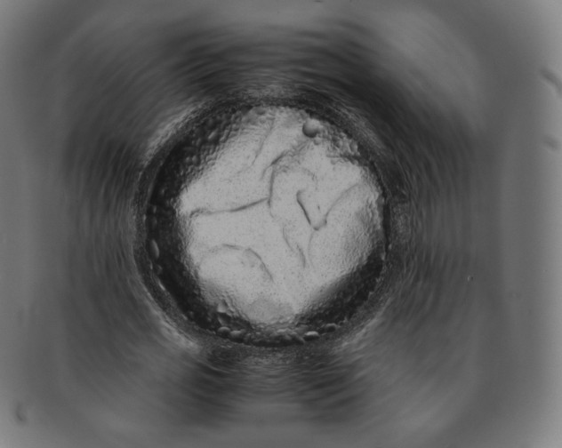 X0000090990725200708241425