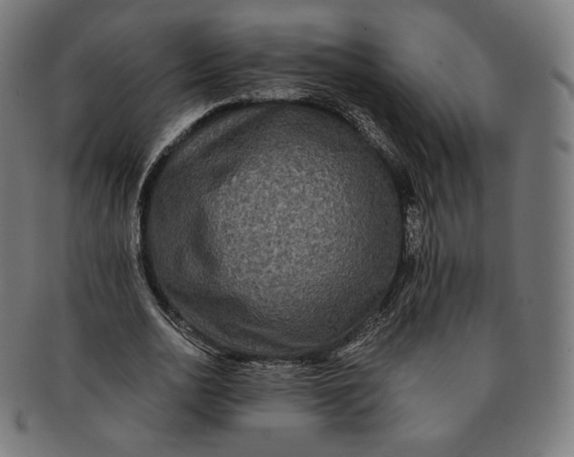 X0000090990726200708241425