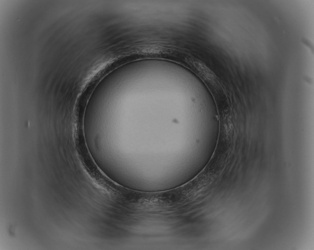 X0000090990728200708241425