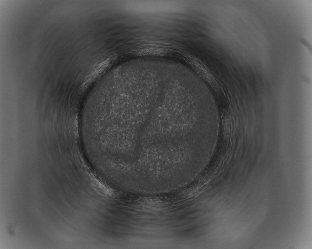 X0000090990729200708241425