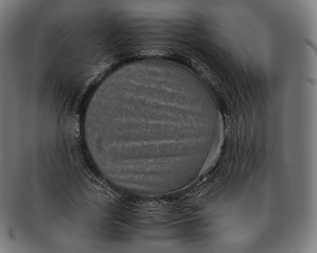 X0000090990731200708241425