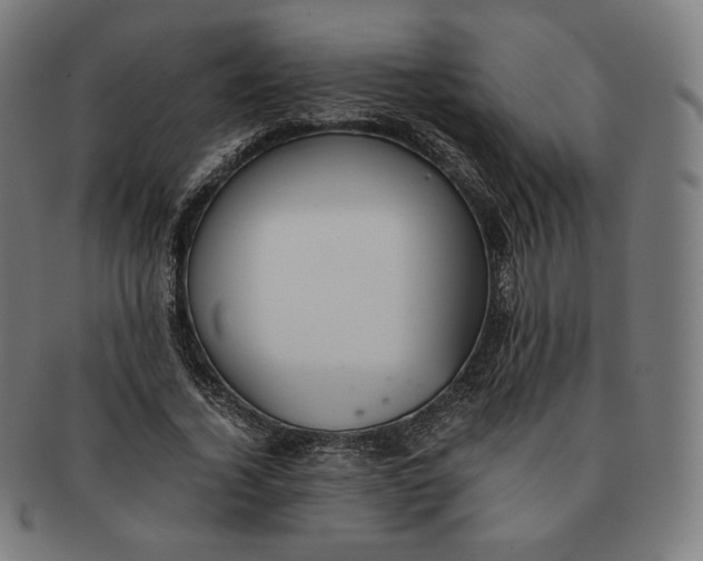 X0000090990732200708241425