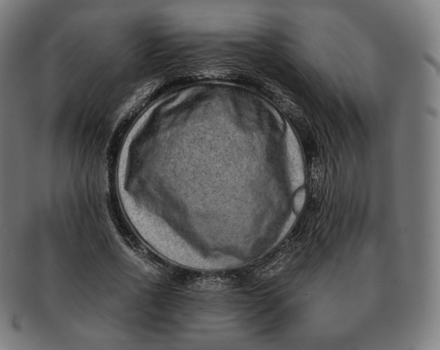 X0000090990734200708241425