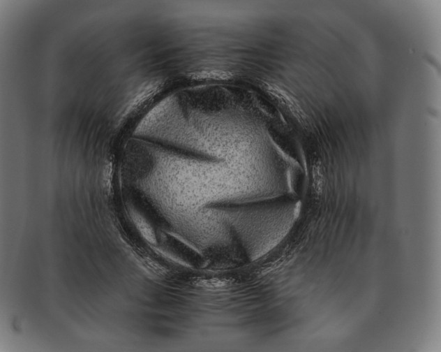 X0000090990735200708241425