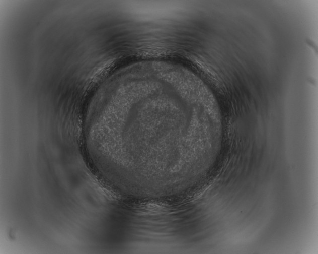 X0000090990737200708241425