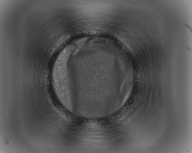 X0000090990738200708241425