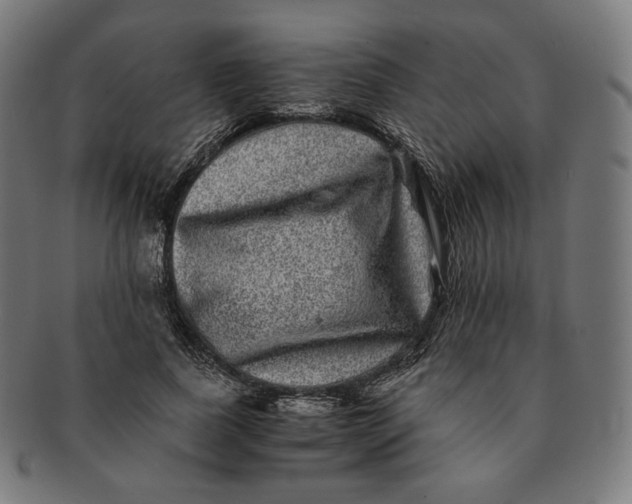 X0000090990739200708241425