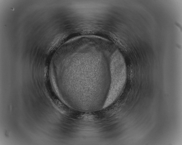 X0000090990742200708241425