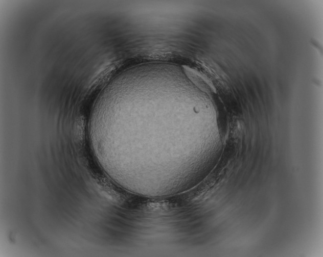 X0000090990744200708241425