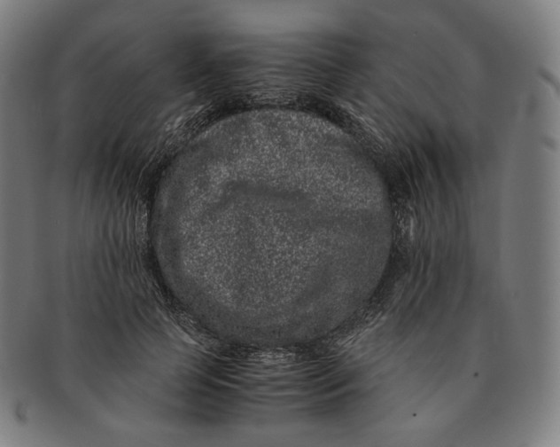 X0000090990745200708241425