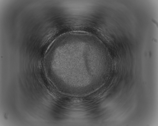 X0000090990746200708241425