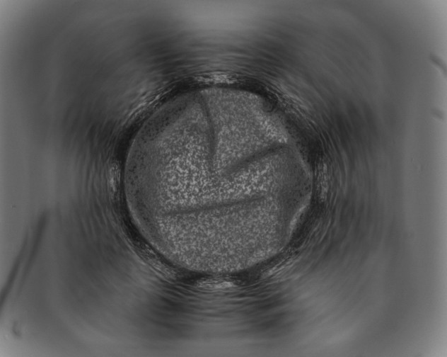 X0000090990747200708241425