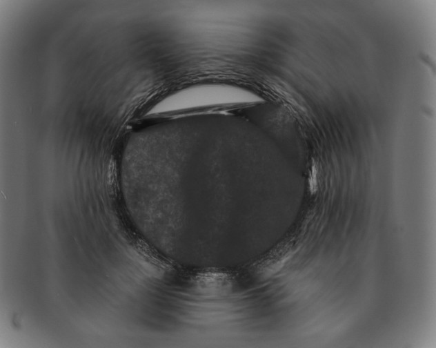 X0000090990748200708241426