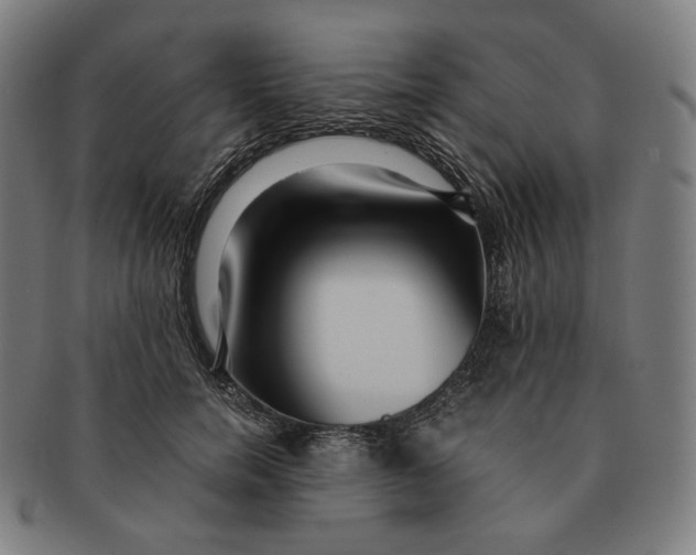 X0000090990750200708241426