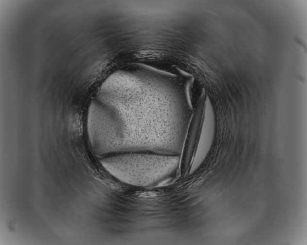 X0000090990751200708241426