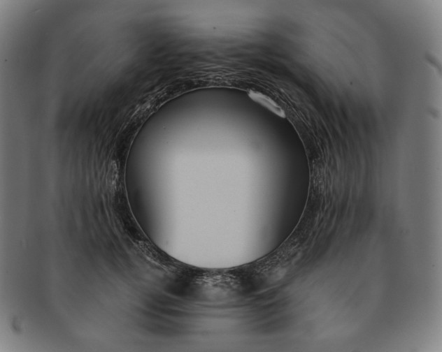 X0000090990752200708241426